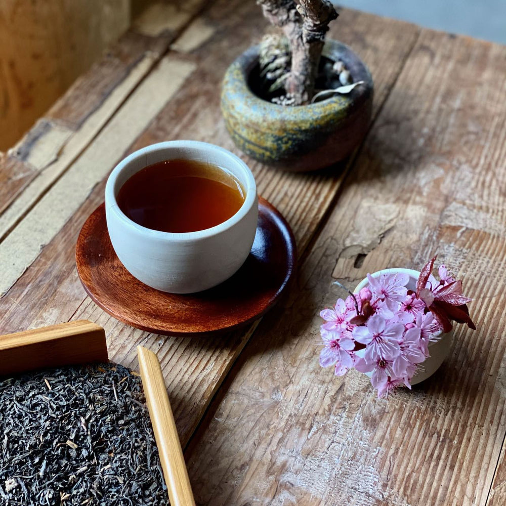 SHAPE-SHIFTER - Koji-Fermented, Roasted Dark Tea (ORGANIC)