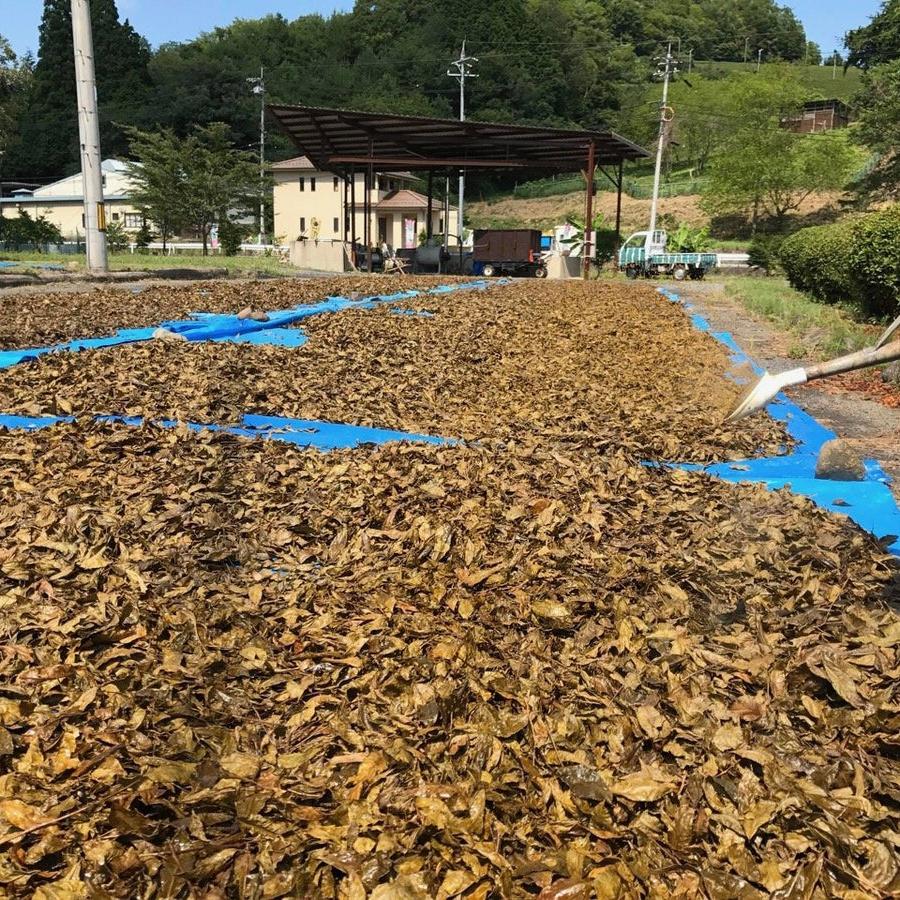 
                  
                    ONE LEAF TWO SWORDS - Handcrafted Heritage Mimasaka Bancha
                  
                